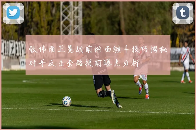 张伟丽卫冕战前地面缠斗技巧揭秘对手反击套路提前曝光分析